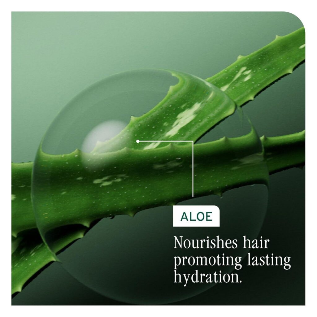 Biolage - Hydra Source Detangling Solution - 1 Liter / 33.8 oz