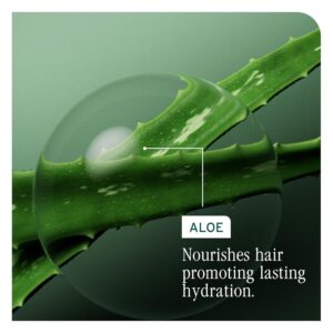Biolage - Hydra Source Detangling Solution - 1 Liter / 33.8 oz