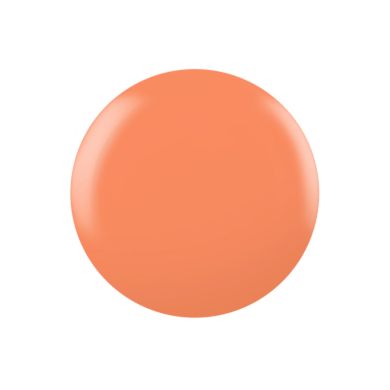 CND - Shellac Combo - Base, Top & Catch Of The Day - Image 2