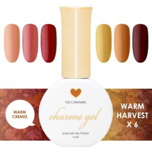 Daily Charme - Warm Harvest Collection