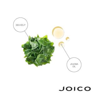 Joico - Moisture Recovery Duo Set: Shampoo 10.1 oz + Conditioner 8.5 oz