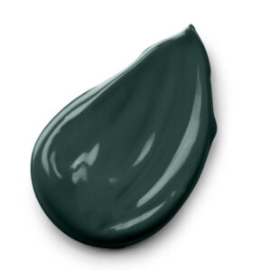 Kokoist - Color Gel - Midnight Forest 2.5g - #E-224