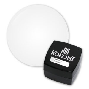 Kokoist - Color Gel - White Gradation 2.5g - #E-91