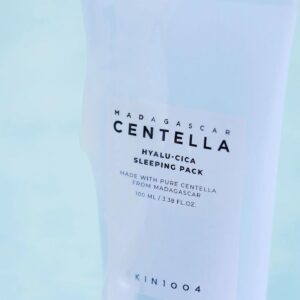 Skin 1004 - Madagascar Centella Hyalu-Cica Sleeping Pack